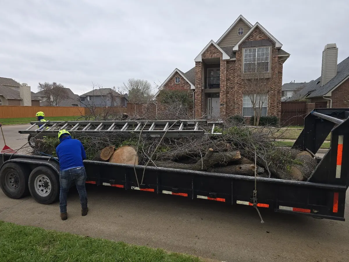 Expert Tree Fertilization with proper safety equipment in Earlville